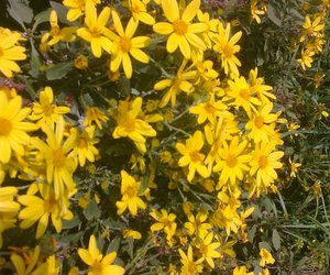 Program Sondag 14 September 2014